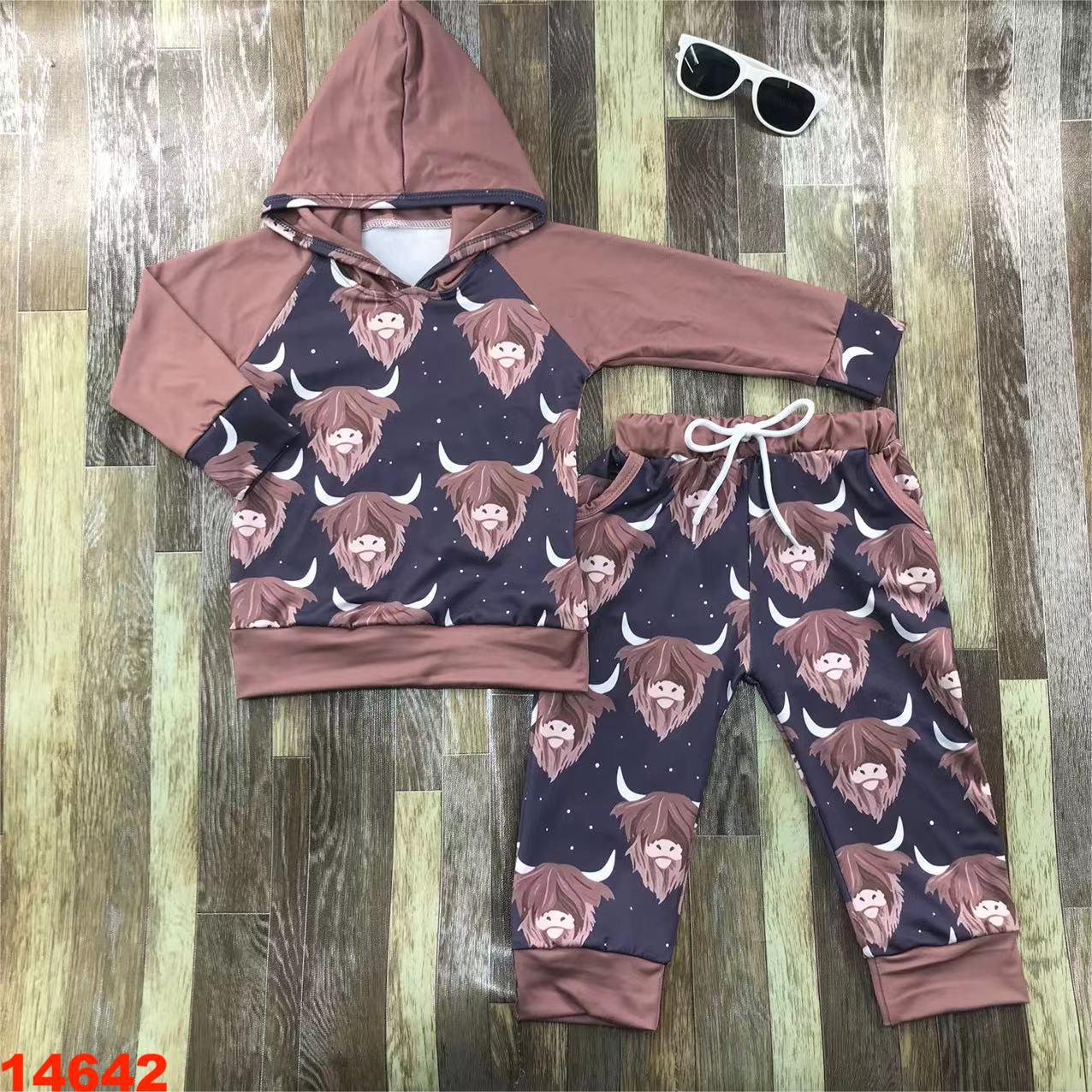 Children's Long Sleeve Hooded Top and Pants Set