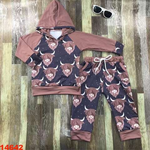 Children's Long Sleeve Hooded Top and Pants Set