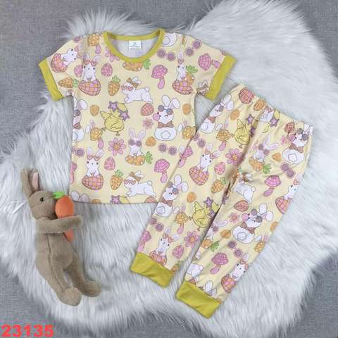 Children's Bunny Printed Short Sleeve and Pants Set