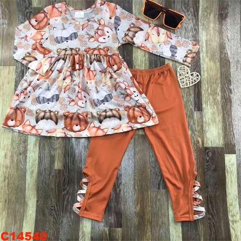 Children's Long Sleeve Animal Print Set