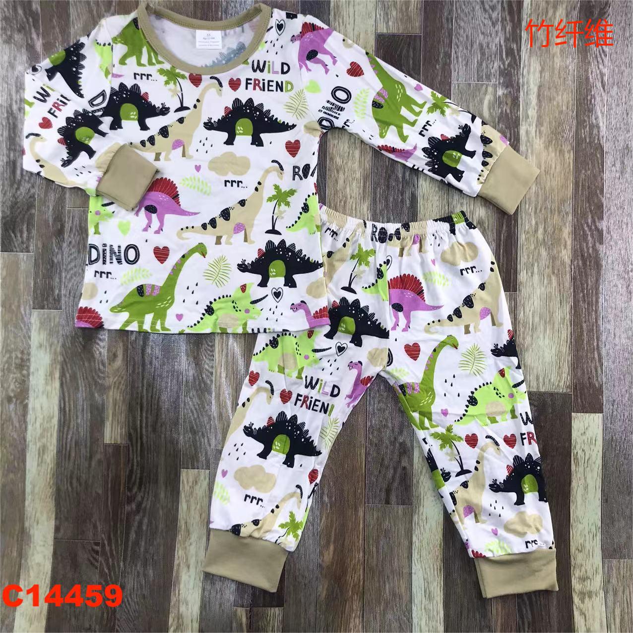 Children's Dinosaur Print Pajama Set